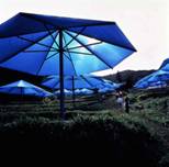 25.01.64.Umbrellasblue1w.jpg