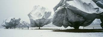 25.01.83.lwt08lg.jpg