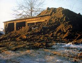 25.03.05.PartBuryWood.jpg