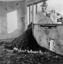 25.03.06.partialy burried.JPG