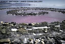 25.03.13.spiral_jetty_det2_big.jpg