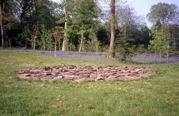 25.07.07.long4.jpg