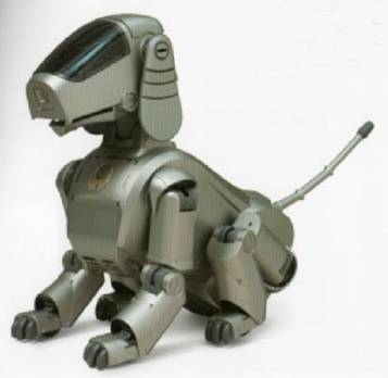 6.9.b.29.Aibo23.jpg