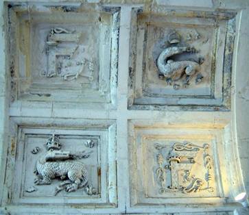 05-06 salamandre chambord.jpg