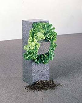 30.arte povera.jpg